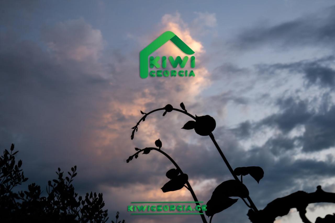 Kiwi Georgia Villa Kobuleti Exterior foto