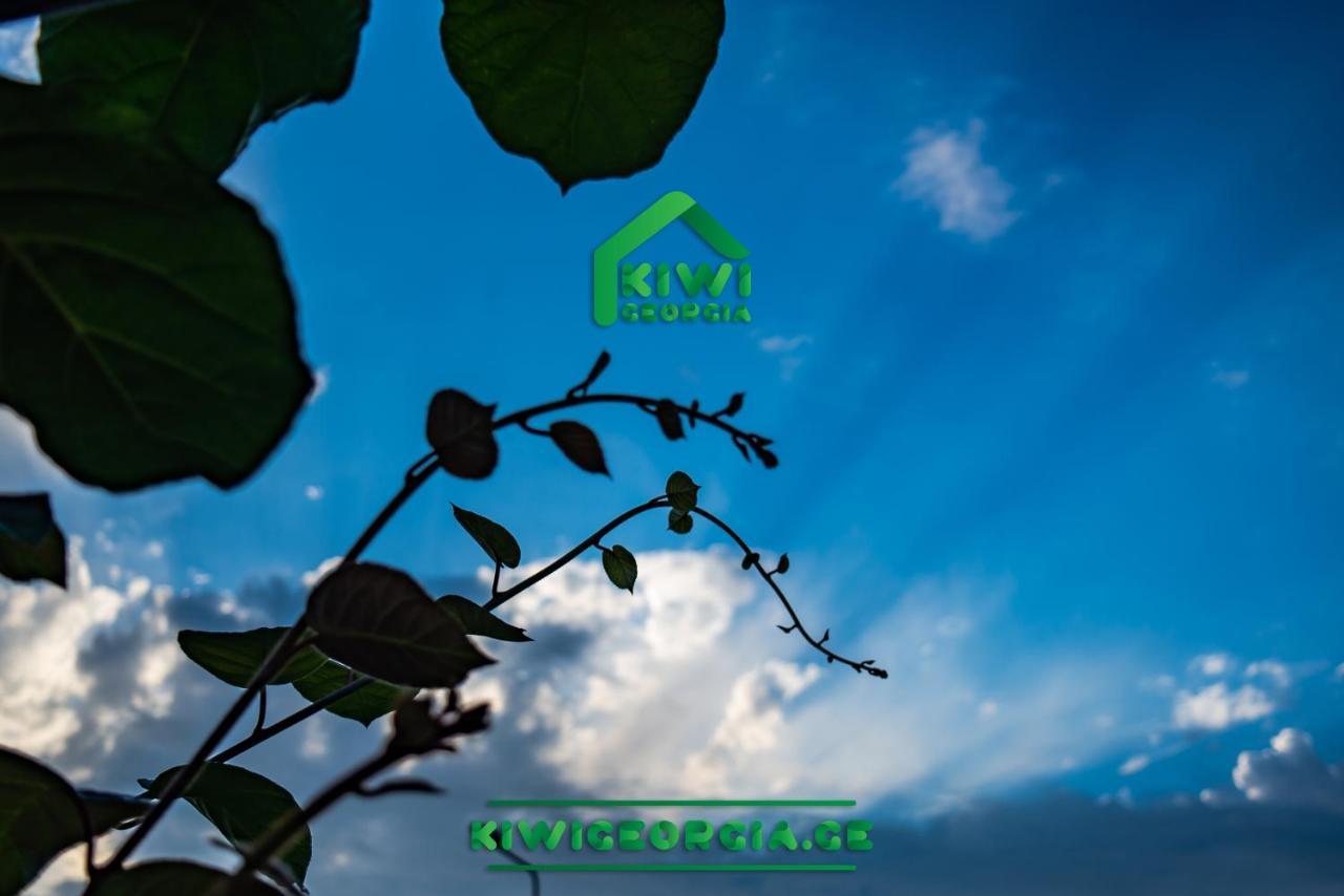 Kiwi Georgia Villa Kobuleti Exterior foto
