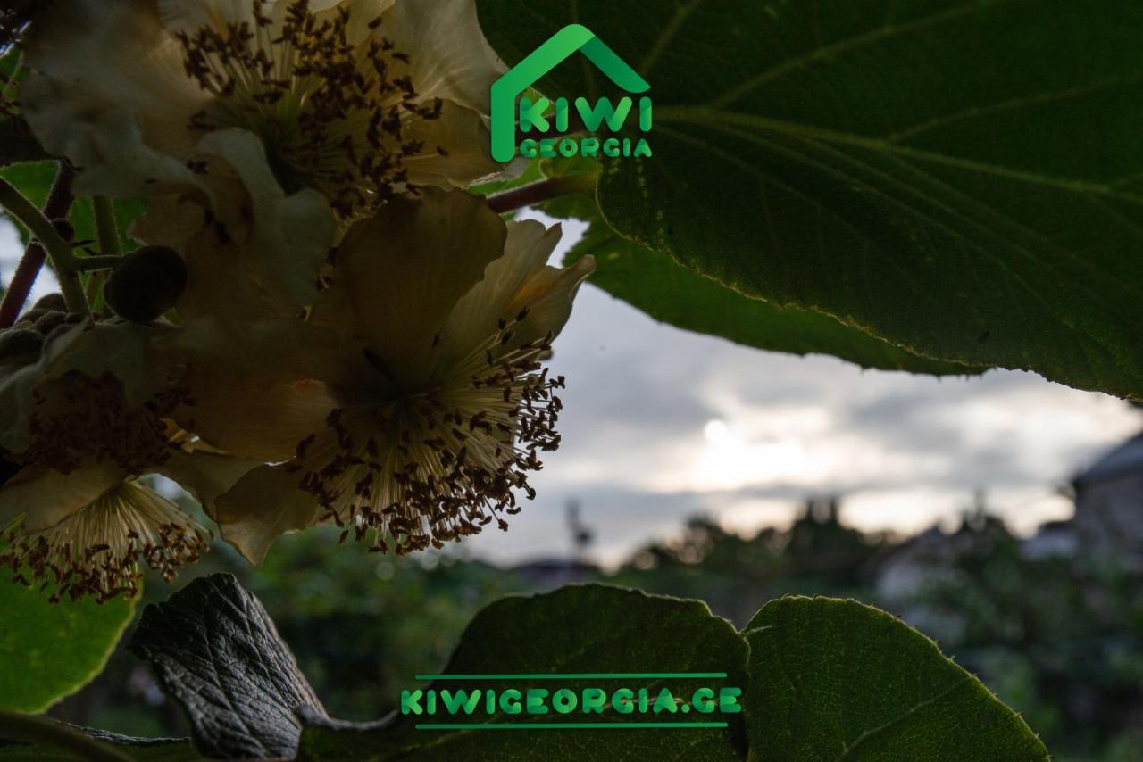 Kiwi Georgia Villa Kobuleti Exterior foto