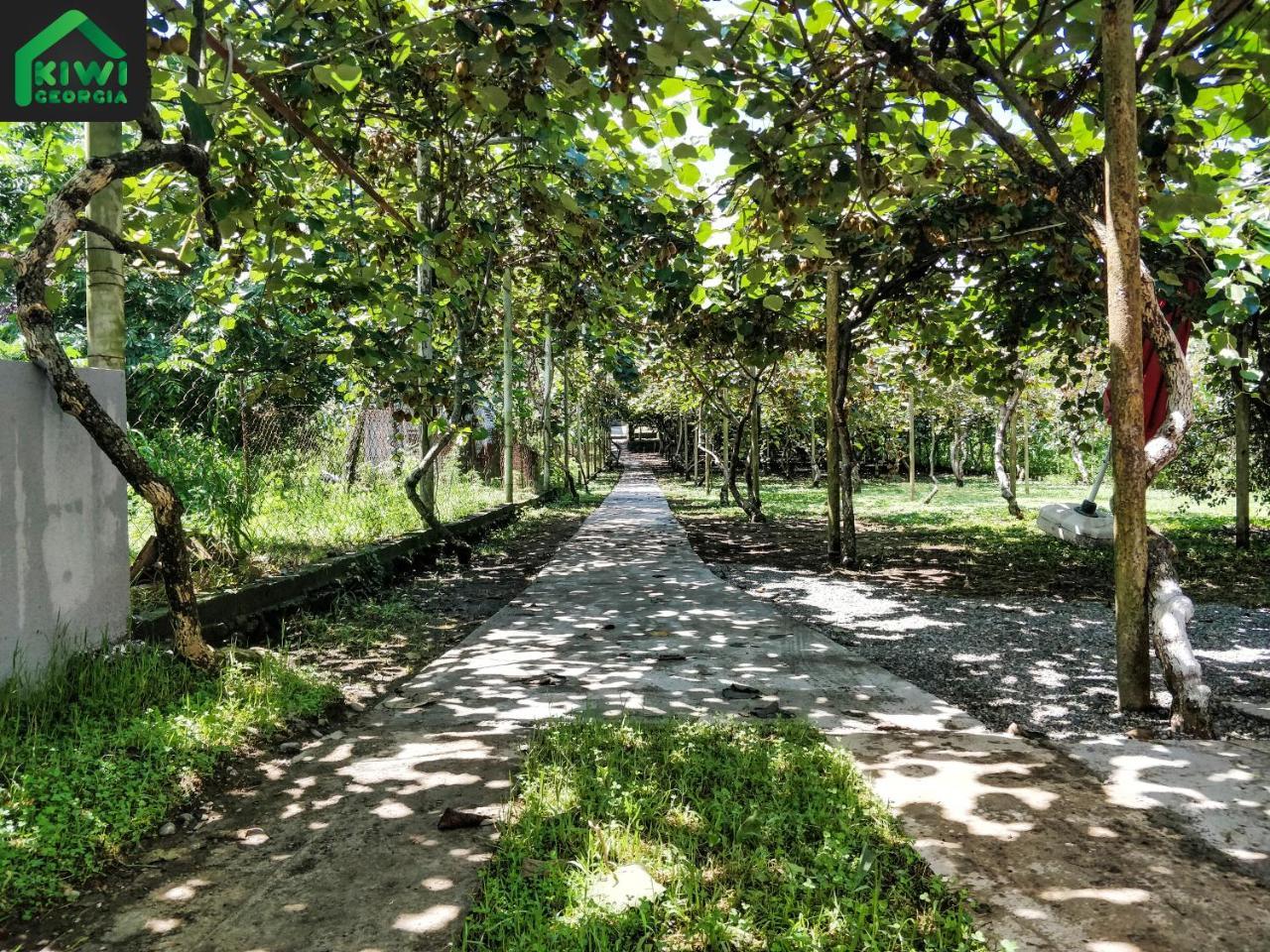 Kiwi Georgia Villa Kobuleti Exterior foto